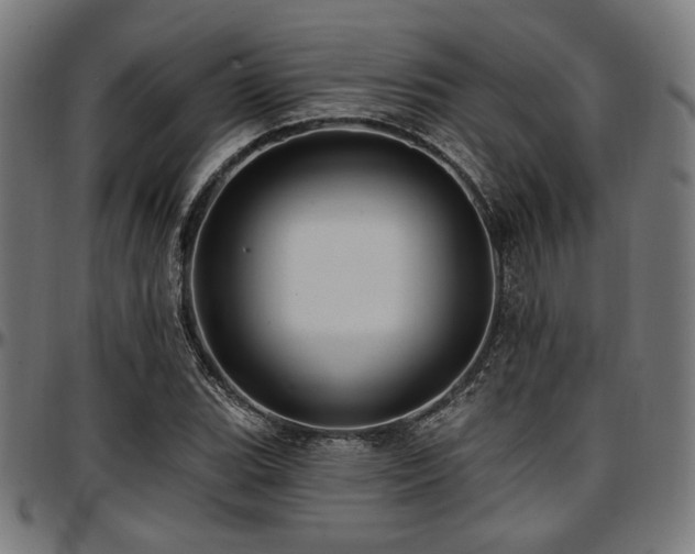 X0000097591119200802291212