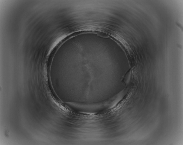 X0000097591120200802291212