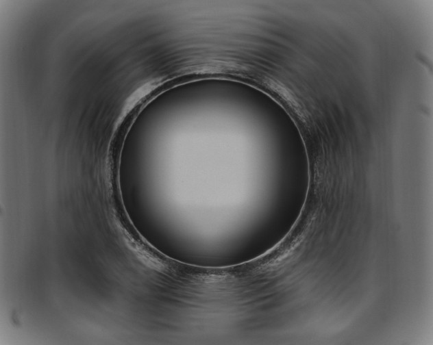 X0000097591122200802291212