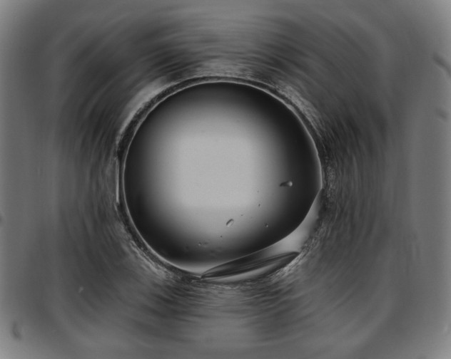 X0000097591123200802291212