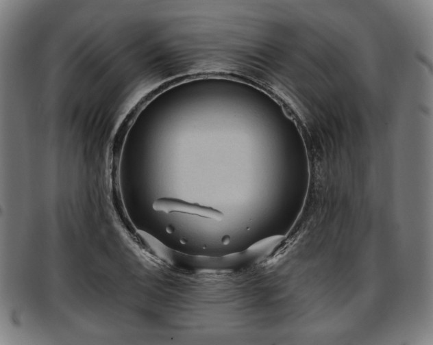 X0000097591124200802291212