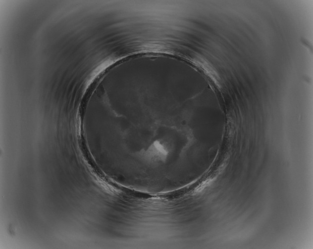 X0000097591125200802291212