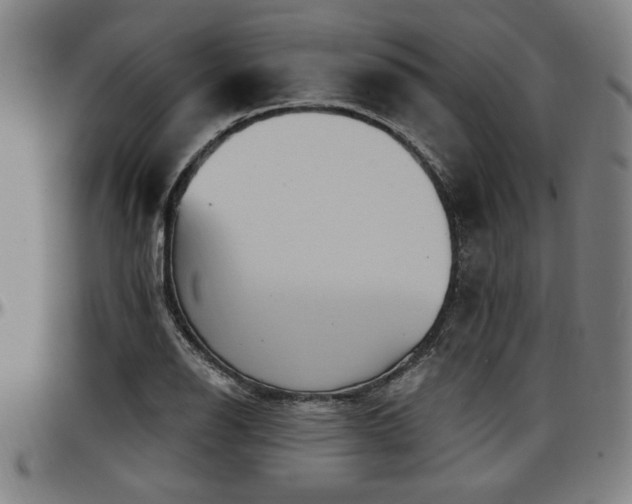 X0000097591126200802291212
