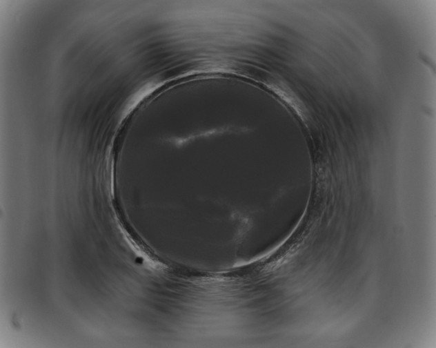 X0000097591127200802291212