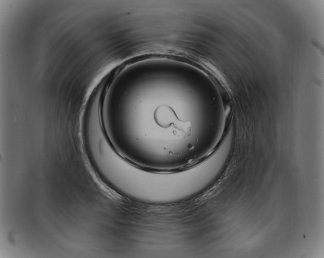 X0000097591128200802291212