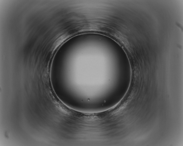 X0000097591129200802291212