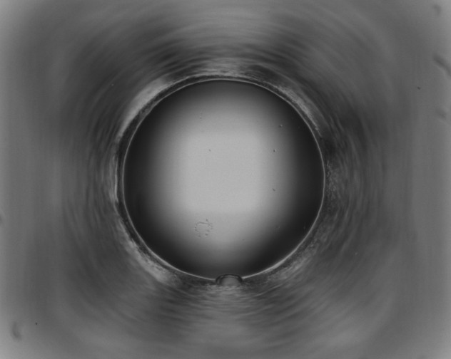 X0000097591131200802291212