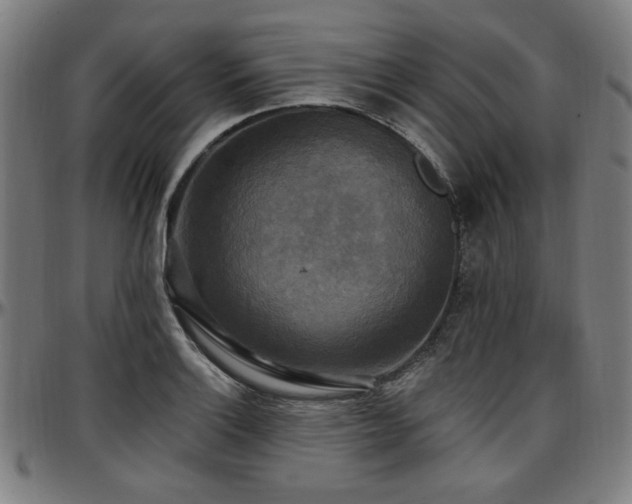 X0000097591132200802291212