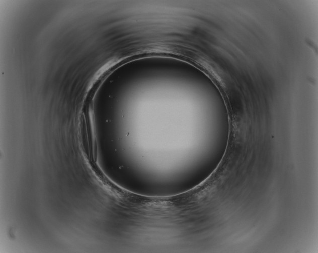 X0000097591133200802291212