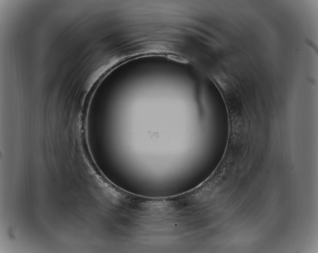 X0000097591134200802291213