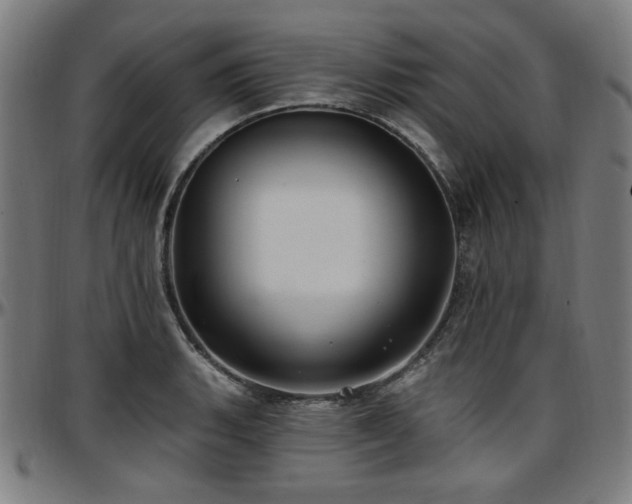 X0000097591135200802291213