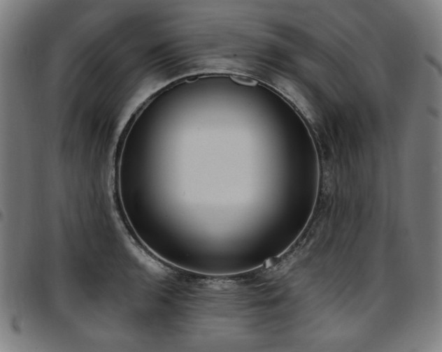 X0000097591136200802291213
