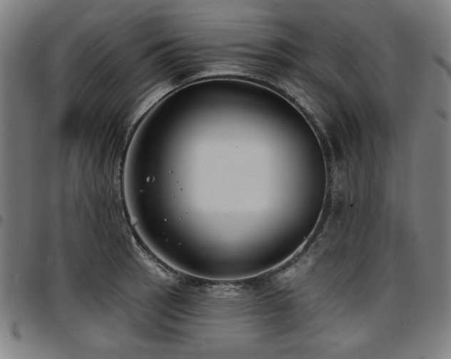 X0000097591137200802291213
