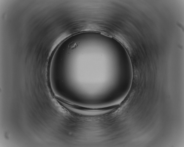 X0000097591138200802291213