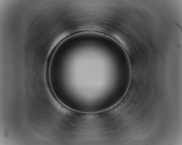 X0000097591139200802291213