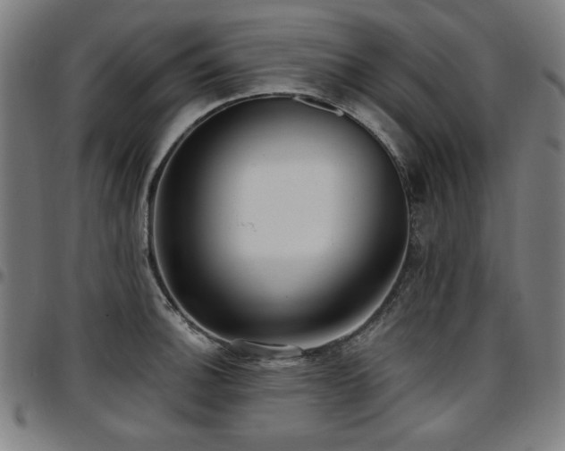 X0000097591140200802291213