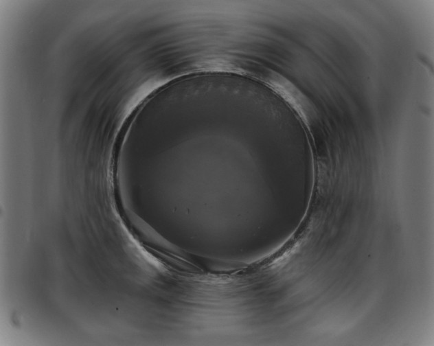 X0000097591141200802291213