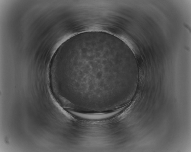 X0000097591142200802291213