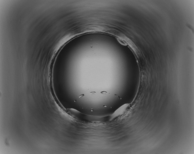 X0000097591143200802291213