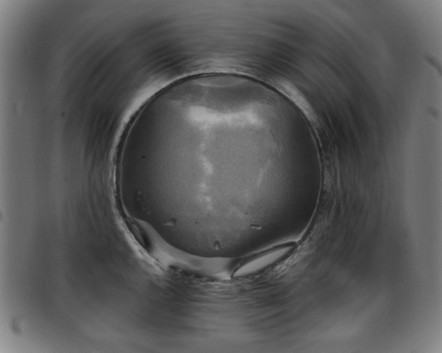X0000097591144200802291213