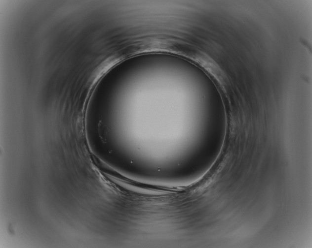 X0000097591145200802291213