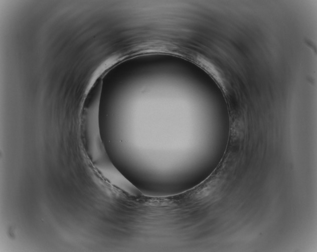 X0000097591146200802291213