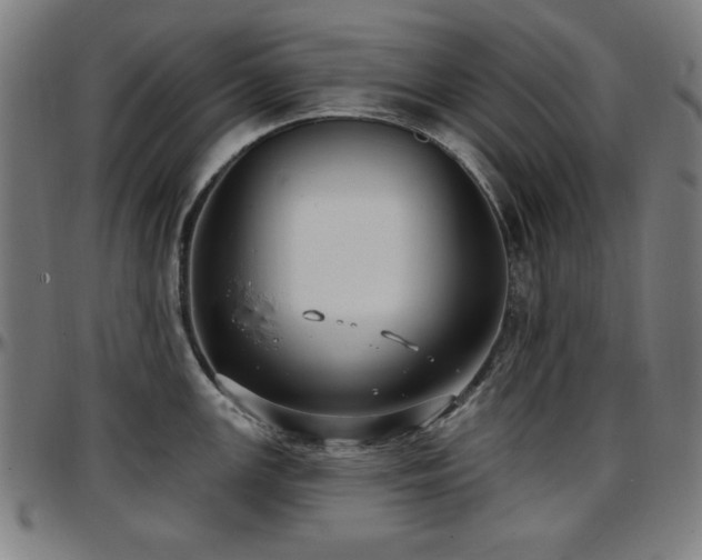 X0000097591147200802291213