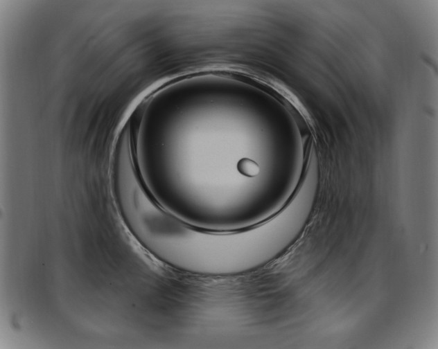 X0000097591148200802291213