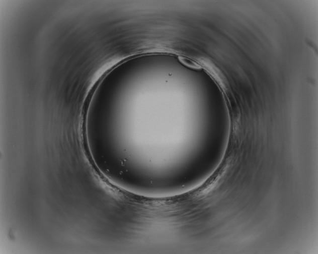 X0000097591149200802291213