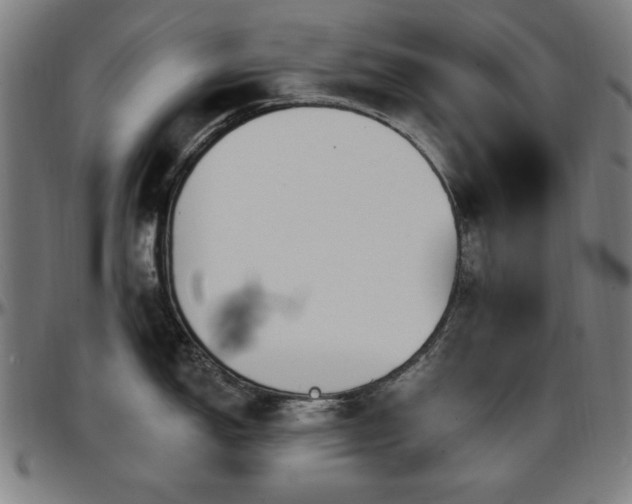 X0000097591150200802291213