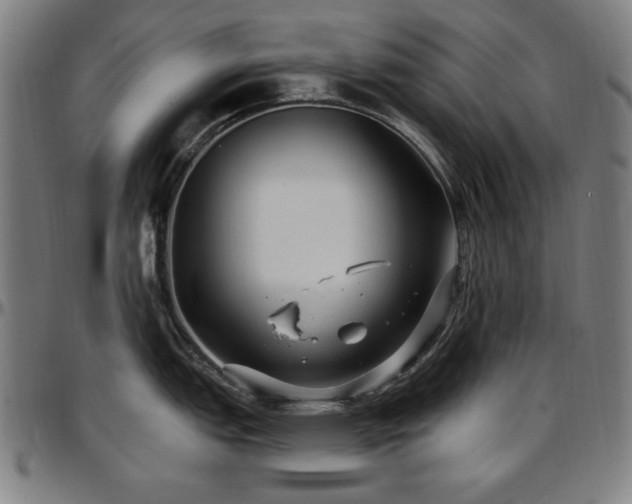 X0000097591151200802291213