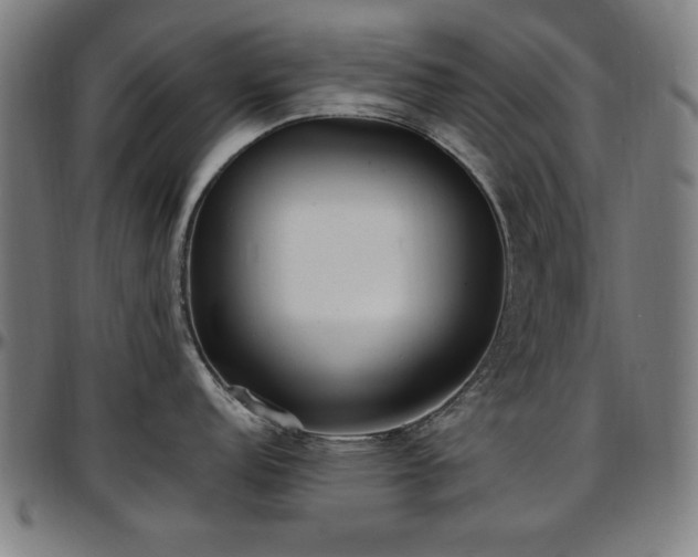 X0000097591152200802291213