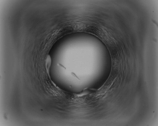 X0000097591153200802291212