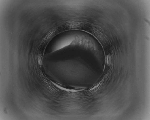 X0000097591155200802291212