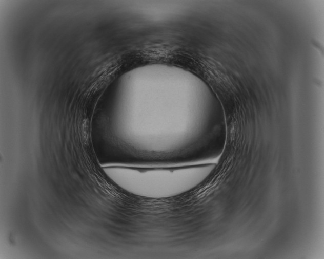 X0000097591156200802291212