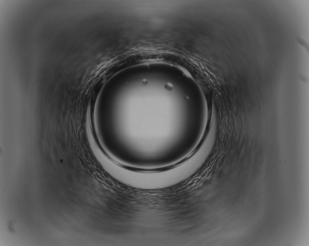 X0000097591157200802291212