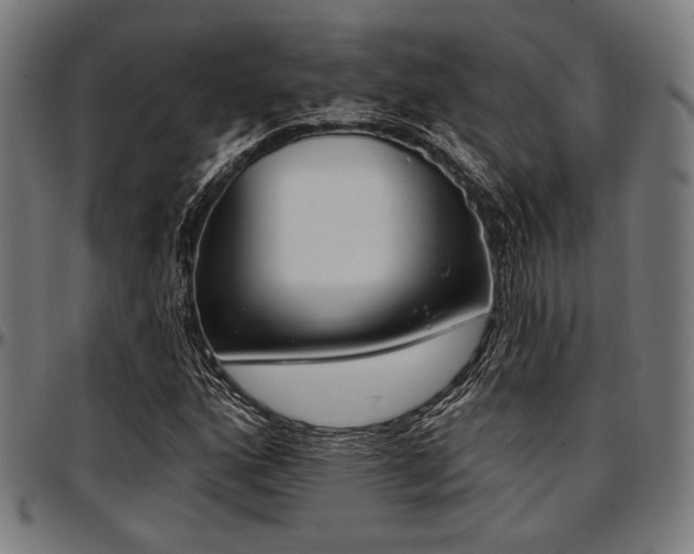 X0000097591160200802291212