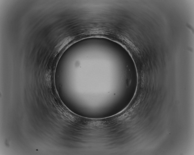 X0000097591162200802291212