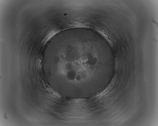 X0000097591163200802291212