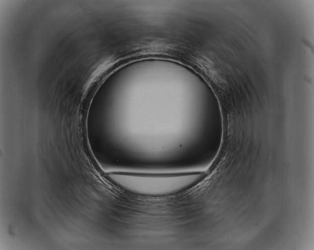X0000097591164200802291212