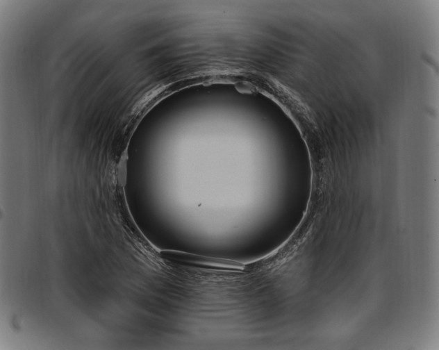 X0000097591169200802291212