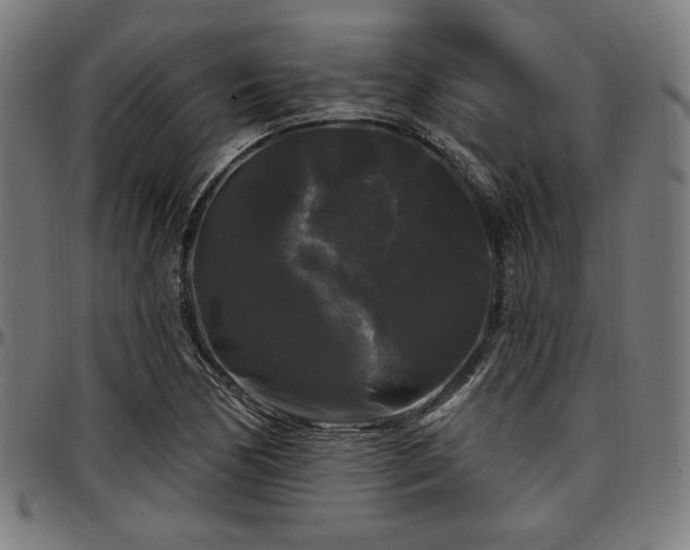 X0000097591170200802291212