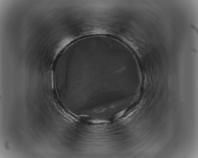 X0000097591171200802291212