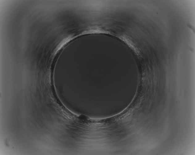 X0000097591173200802291212