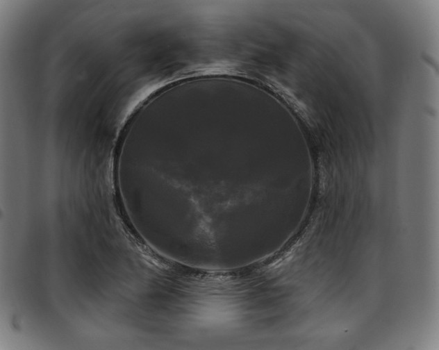 X0000097591174200802291212