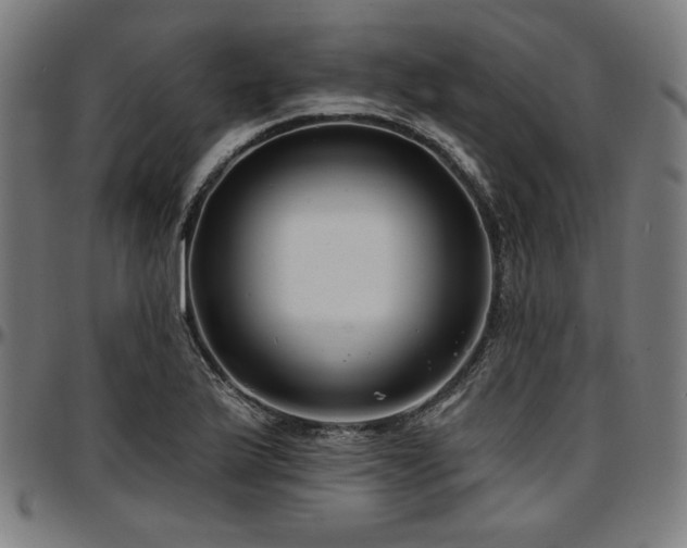 X0000097591175200802291212