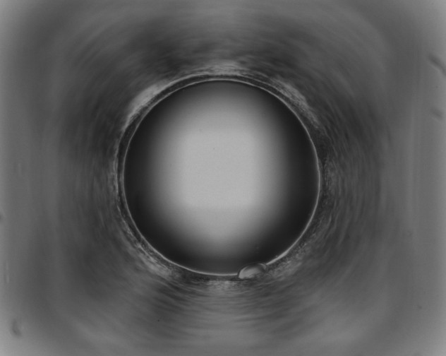 X0000097591176200802291212