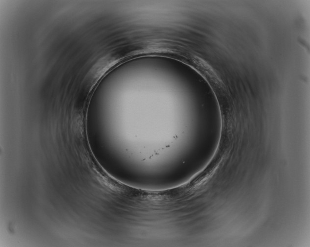 X0000097591177200802291212