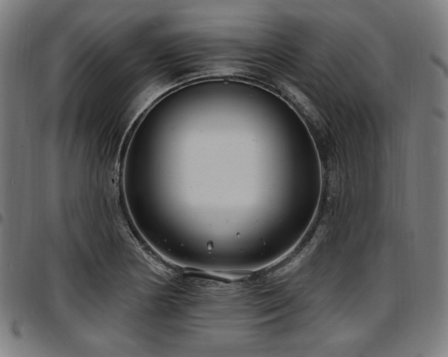 X0000097591178200802291212