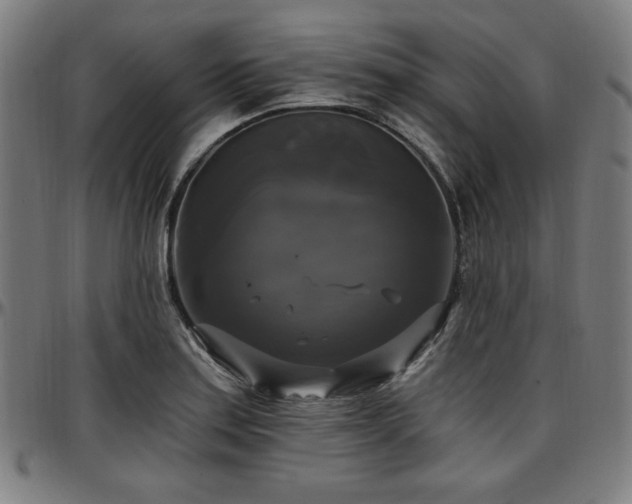 X0000097591179200802291212